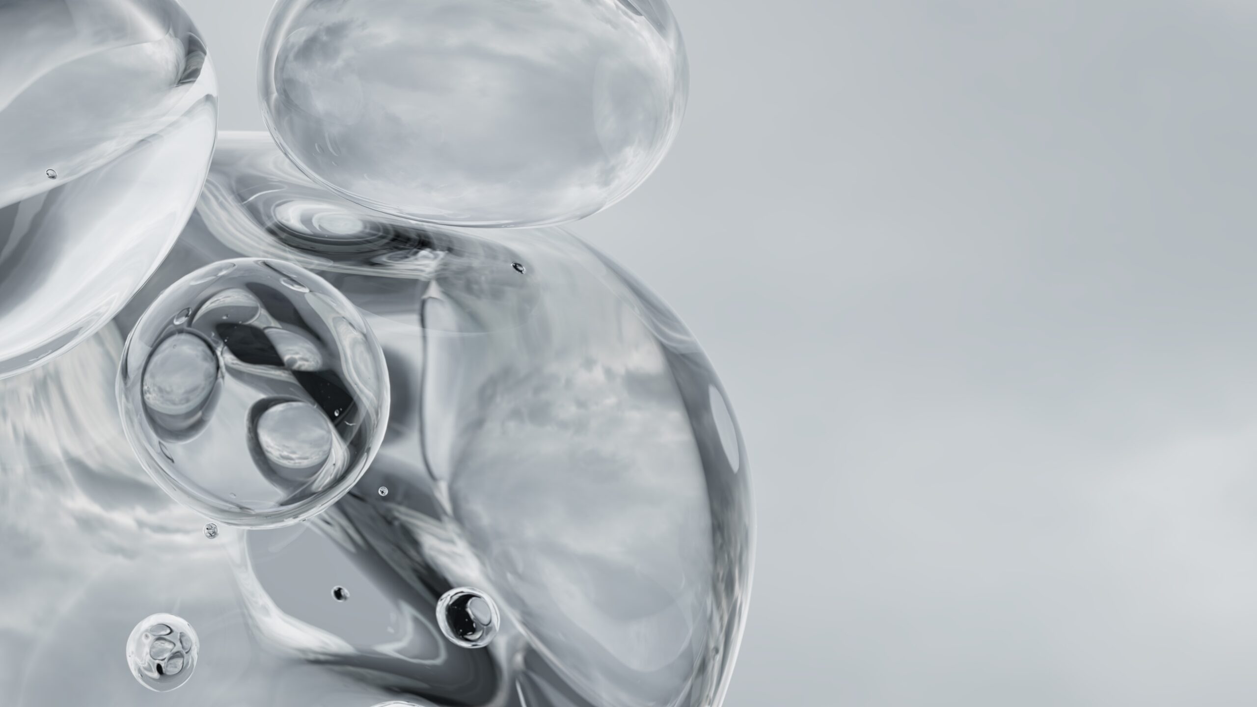 Still 2024-12-11 140105_2.1.1