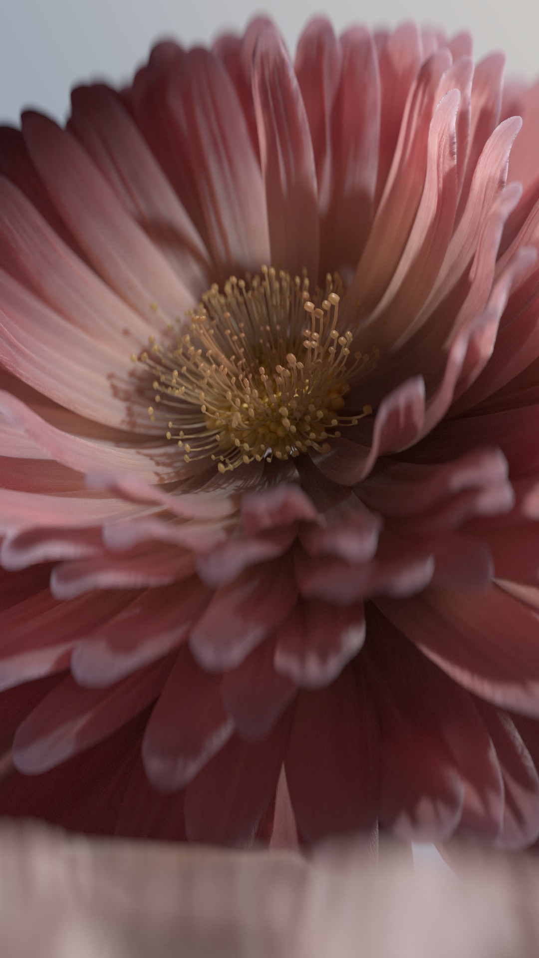 DROPLETS_ET_FLEUR_005.cam_00.0001