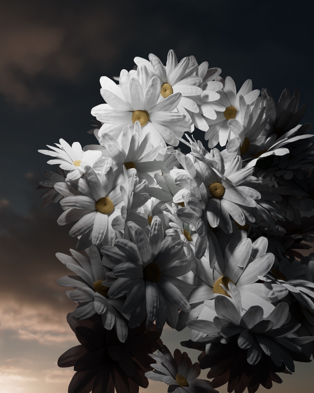 ENV_PRACTICE_LEAFS_001_cam1_001