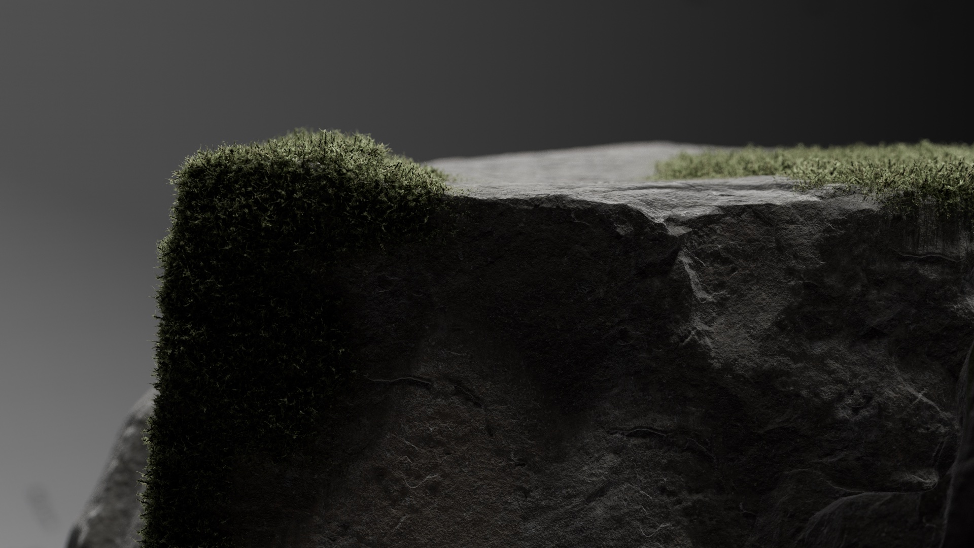 LOOK_DEV_WOOD_50cm_001.float.0050